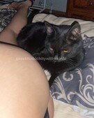 Анкета проститутки Алиса - метро Южное Бутово, возраст - 23